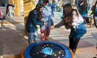 Pedagogía en Educación Diferencial