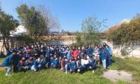 Pedagogía en Educación Diferencial