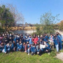 Pedagogía en Educación Diferencial
