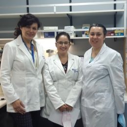 UCSH Laboratorio de Embriología