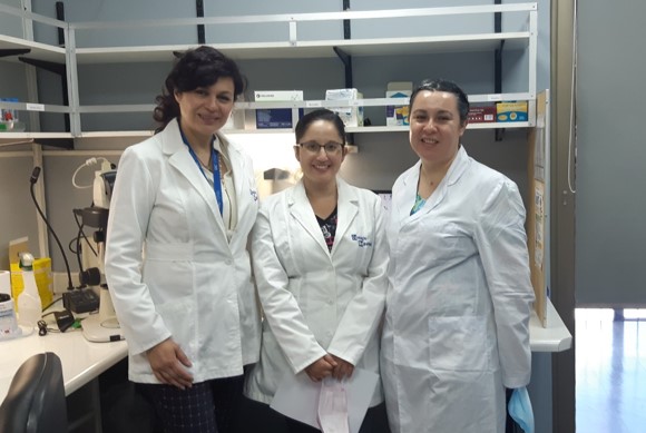 UCSH Laboratorio de Embriología