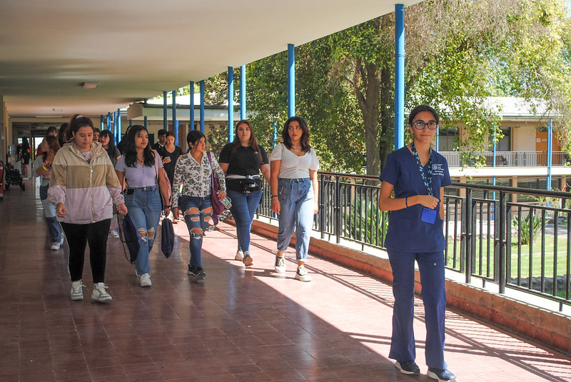 En campus Lo Cañas