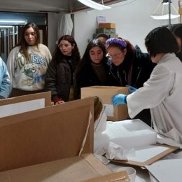 Estudiantes de la mención en Ciencias Naturales de Pedagogía en Educación Básica de la Escuela de Educación Inicial, en dependencias del MNHN conocen el trabajo curatorial de las áreas de botánica, taxidermia y antropología física.
