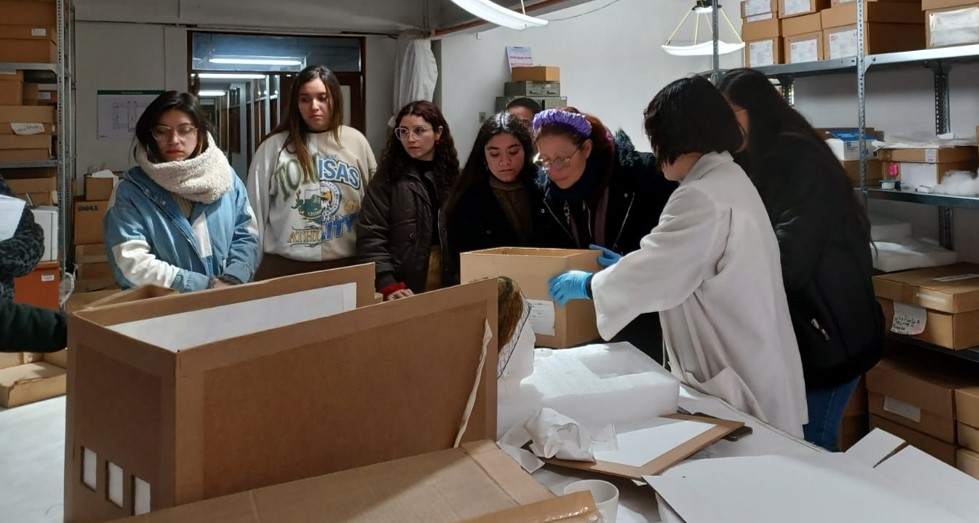 Estudiantes de la mención en Ciencias Naturales de Pedagogía en Educación Básica de la Escuela de Educación Inicial, en dependencias del MNHN conocen el trabajo curatorial de las áreas de botánica, taxidermia y antropología física.