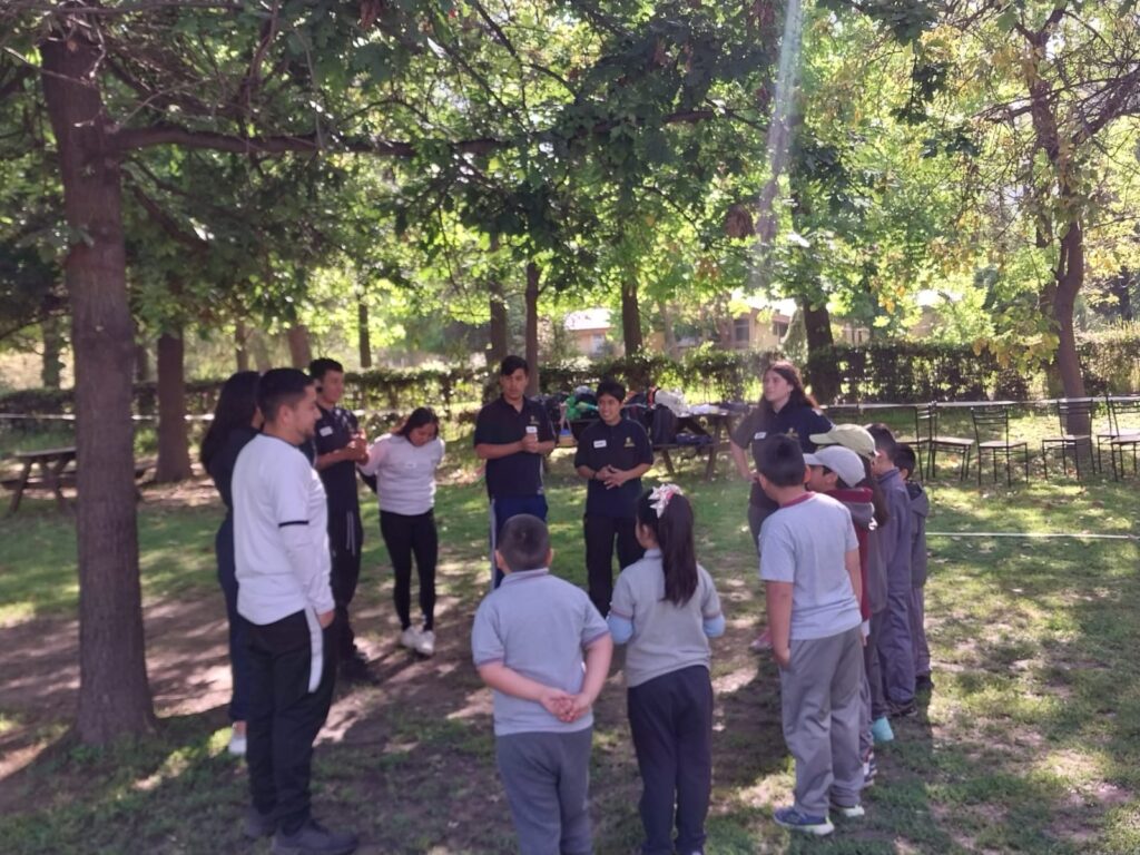 Jornada de actividad física